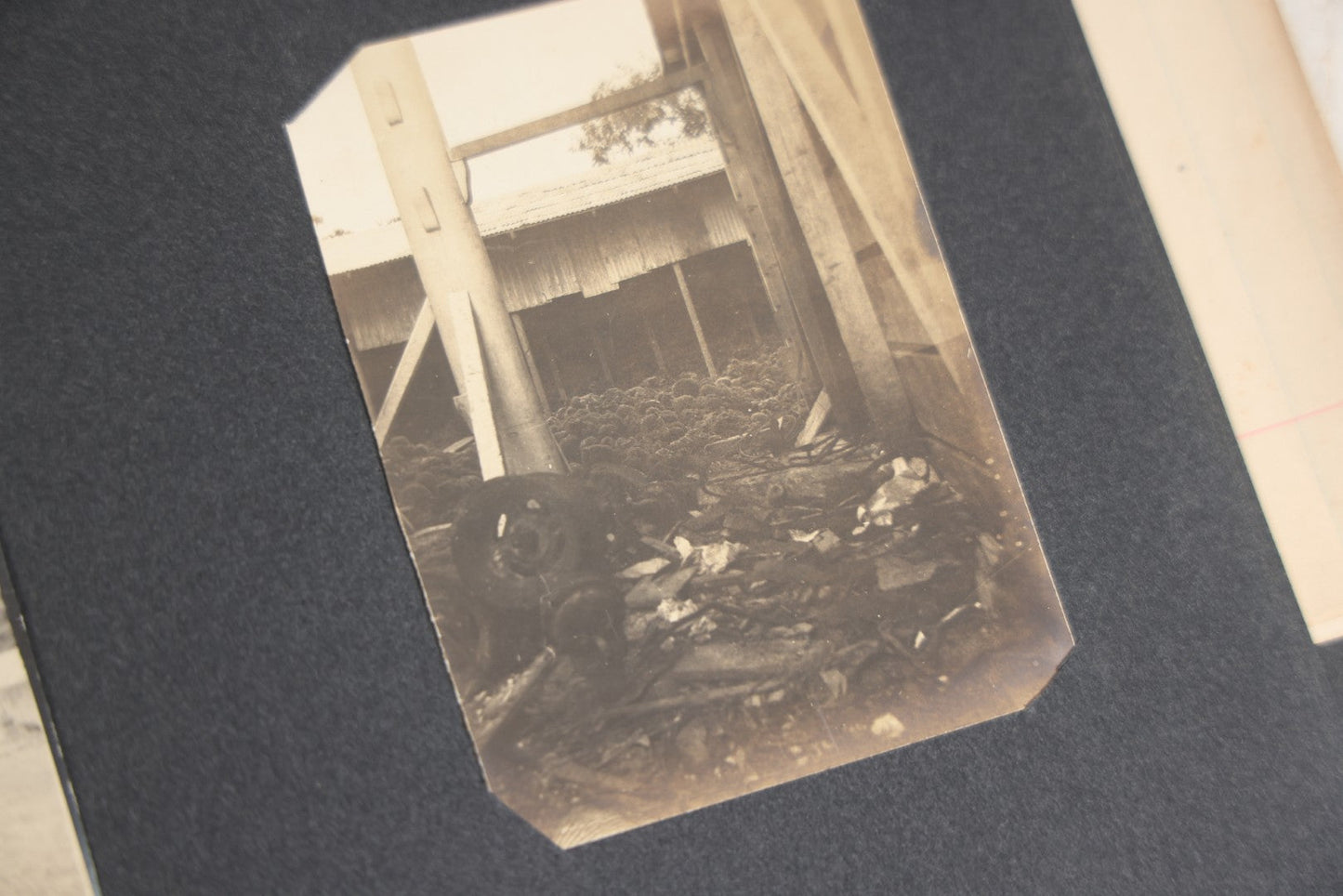 Lot 118 - Antique Snapshot Photo Album, Containing Approximately 30 Photographs, Travel Photo Album With Photos Of Trip To Nassau, Bahamas, February And March 1903, Including Photos On Ship