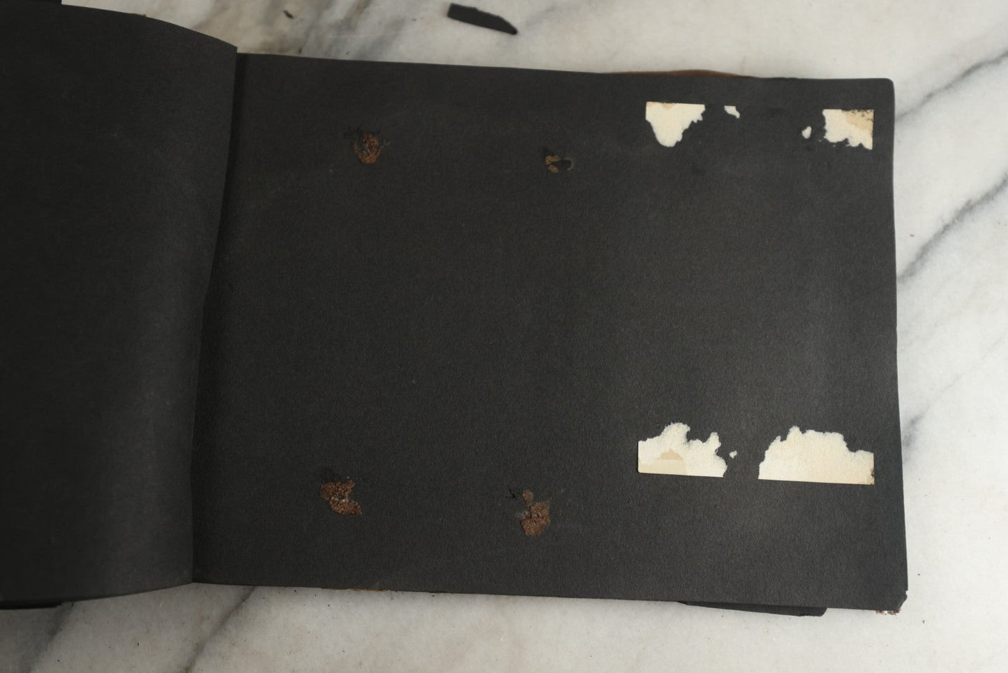 Lot 119 - Antique Snapshot Photo Album, Containing Approximately 100 Photographs With Captions, College Students, Fraternity Members, Scenes At The Beach, Early Swimwear, Circa 1915