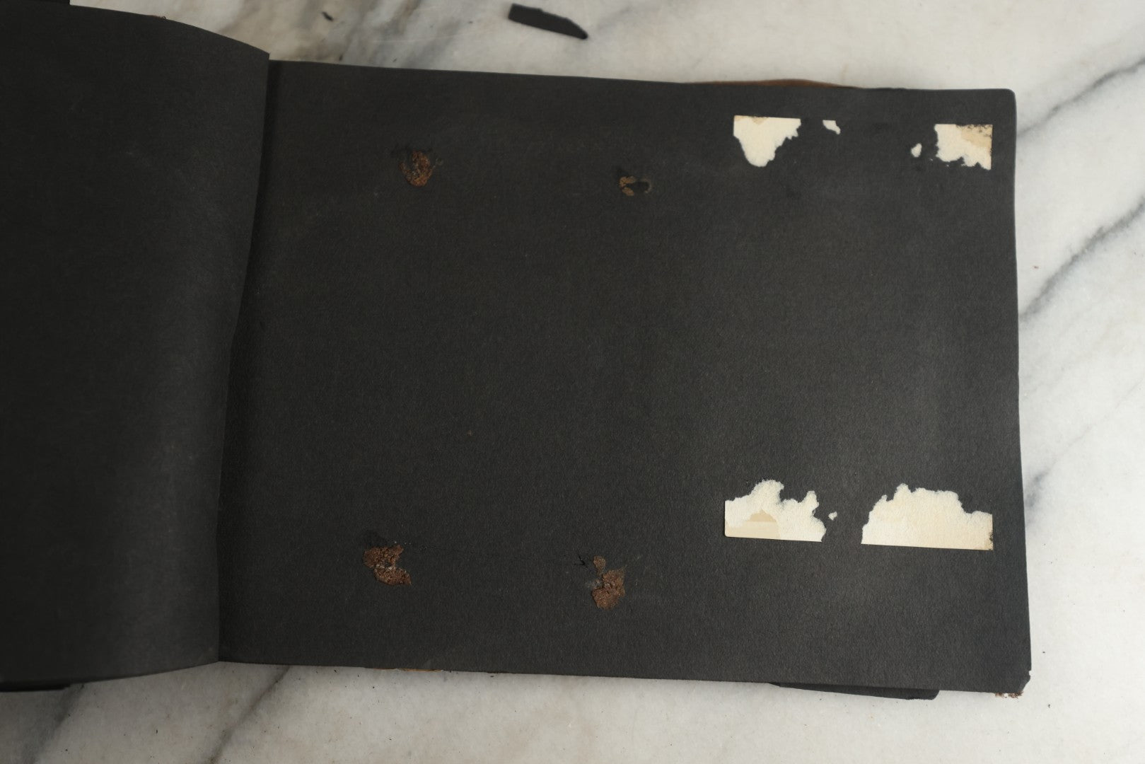 Lot 119 - Antique Snapshot Photo Album, Containing Approximately 100 Photographs With Captions, College Students, Fraternity Members, Scenes At The Beach, Early Swimwear, Circa 1915