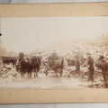 Lot 128 - Antique Boarded Occupational Photograph Of Loggers At Work, Many Horses In Image