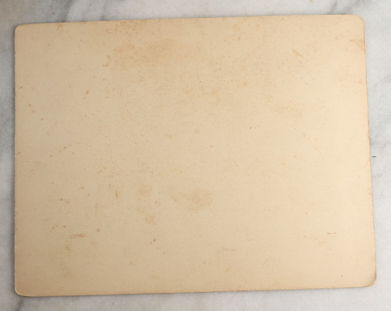 Lot 128 - Antique Boarded Occupational Photograph Of Loggers At Work, Many Horses In Frame