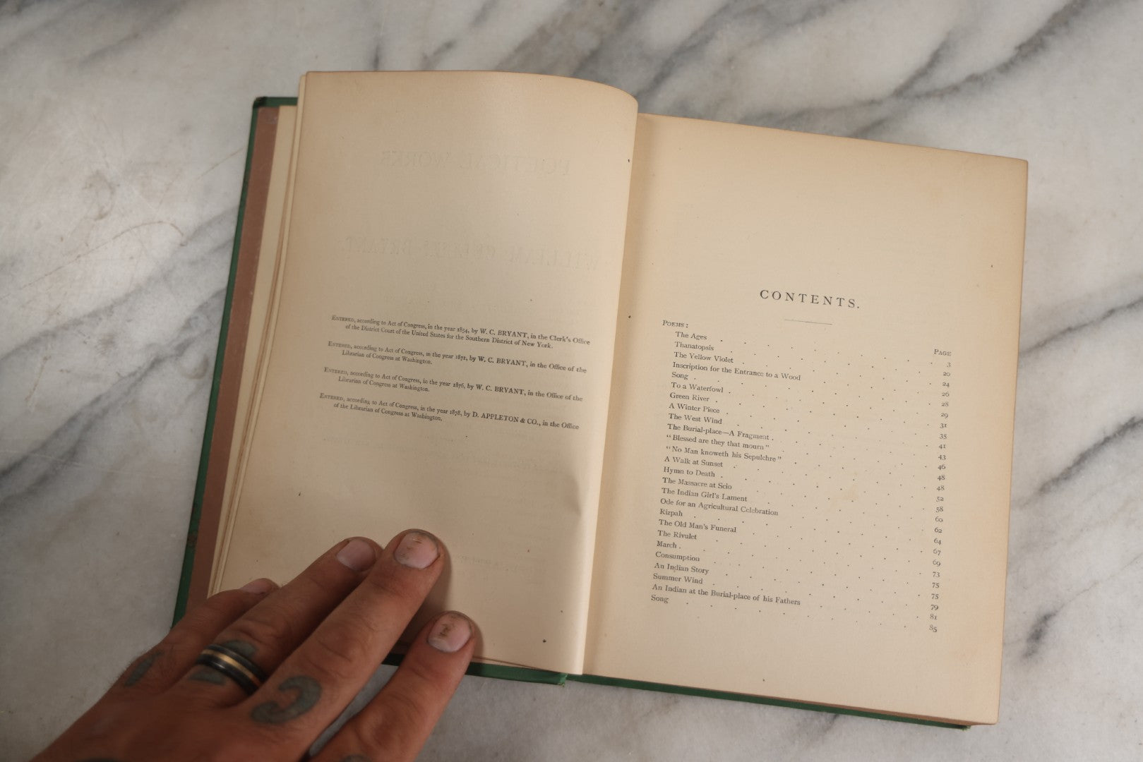 Lot 138 - "Poetical Works Of William Cullen Bryant" Antique Poetry Book, Illustrated With One Hundred Engravings, Decorative Green Cloth Boards With Gilt Title And Holly Vine Border, D. Appleton And Company, Publishers, New York, 1876