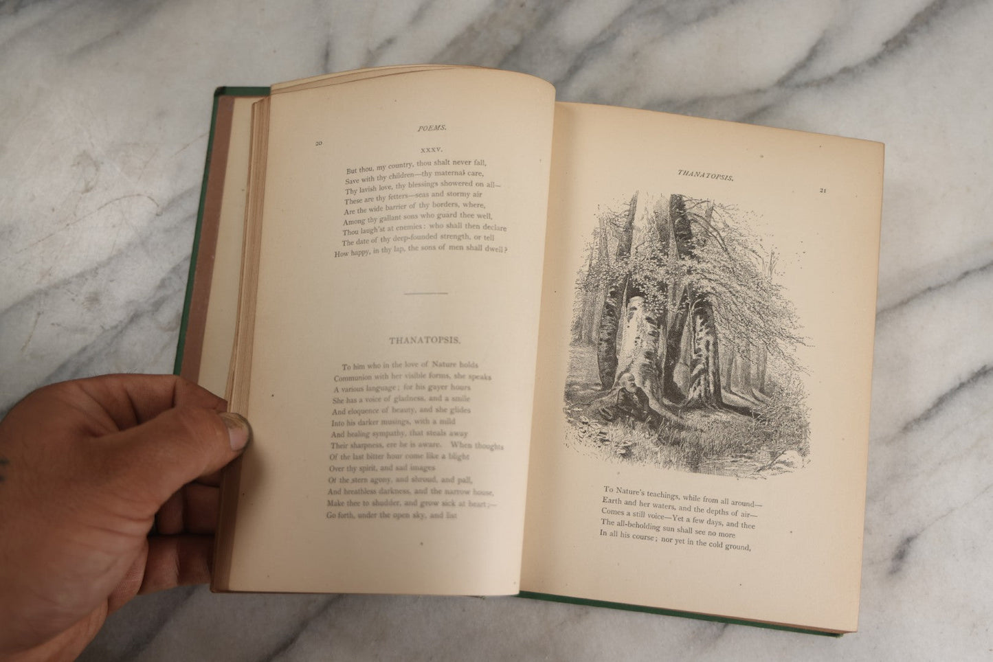 Lot 138 - "Poetical Works Of William Cullen Bryant" Antique Poetry Book, Illustrated With One Hundred Engravings, Decorative Green Cloth Boards With Gilt Title And Holly Vine Border, D. Appleton And Company, Publishers, New York, 1876