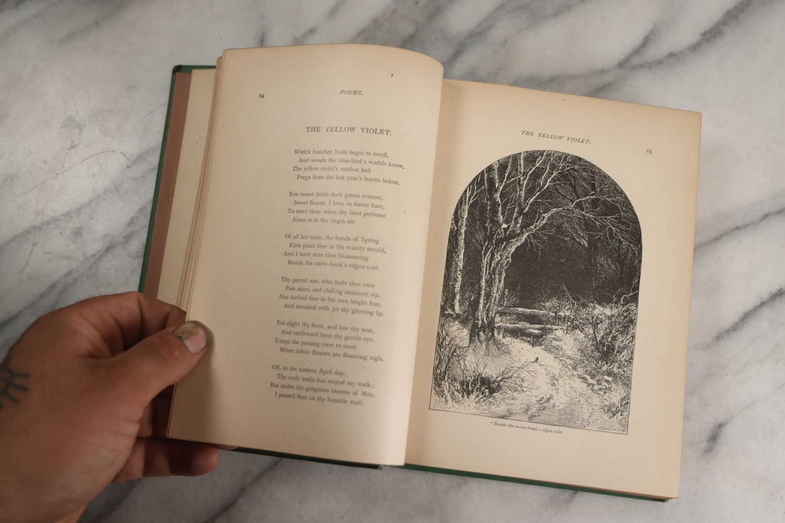 Lot 138 - "Poetical Works Of William Cullen Bryant" Antique Poetry Book, Illustrated With One Hundred Engravings, Decorative Green Cloth Boards With Gilt Title And Holly Vine Border, D. Appleton And Company, Publishers, New York, 1876