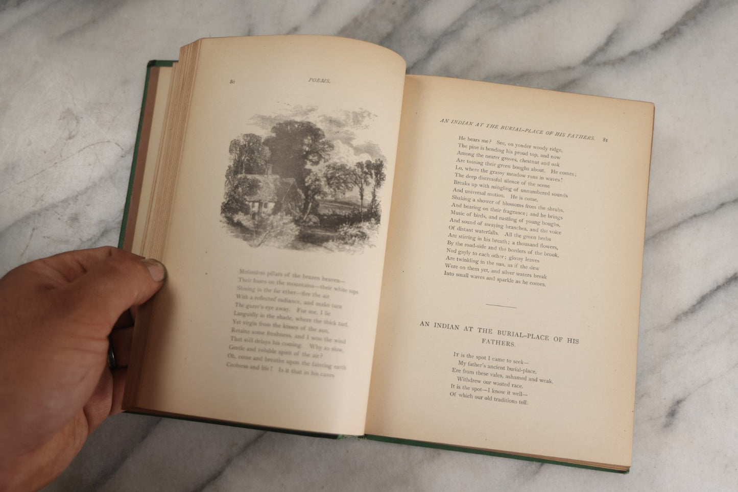 Lot 138 - "Poetical Works Of William Cullen Bryant" Antique Poetry Book, Illustrated With One Hundred Engravings, Decorative Green Cloth Boards With Gilt Title And Holly Vine Border, D. Appleton And Company, Publishers, New York, 1876