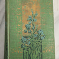 Lot 150 - "Sappho" Antique Book By Alphonse Daudet, Illustrated H.M. Caldwell Co., Publishers, New York And Boston, Circa 1900, Note Cover Board Warped