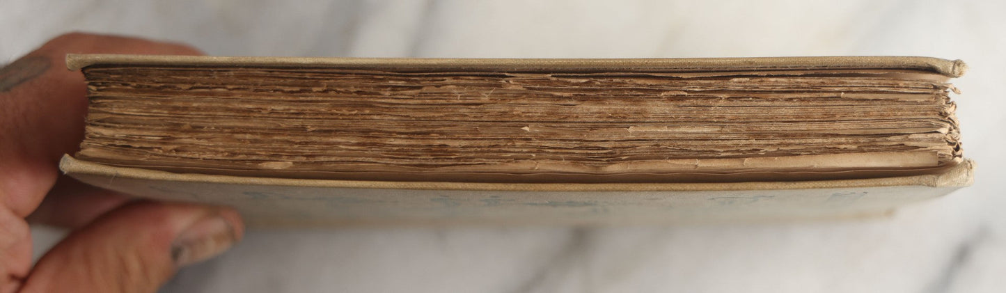Lot 151 - "Sappho" Antique Book By Alphonse Daudet, Illustrated By Rossi, Myrbach, Etc., Translated By Henry Frith, Gilded Fore-Edge, J.M. Dent And Co., Publishers, London, , Circa 1895, Note Cover Board Warped, Heavy Foxing