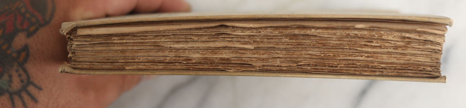 Lot 151 - "Sappho" Antique Book By Alphonse Daudet, Illustrated By Rossi, Myrbach, Etc., Translated By Henry Frith, Gilded Fore-Edge, J.M. Dent And Co., Publishers, London, , Circa 1895, Note Cover Board Warped, Heavy Foxing
