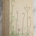 Lot 158 - "To Those Who See" Vintage Nature And Plant Illustration Book, Decorative Cloth And Pictorial Boards Featuring Botanical Fern Motif, Naturalist-Inspired Design, Mid-20th Century