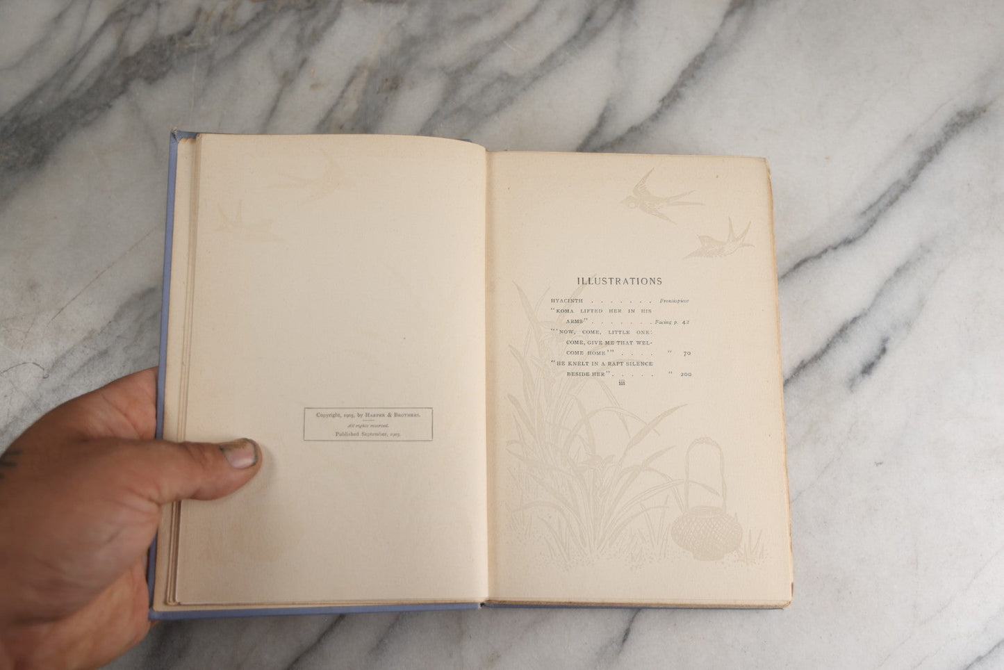 Lot 159 - "The Heart Of Hyacinth" Antique Book By Onoto Watanna, Illustrated With Decorations By Kokichi Sano, Light Blue Cloth Boards With White And Green Floral Design And Gilt Titles, Harper & Brothers, Publishers, New York And London, 1903
