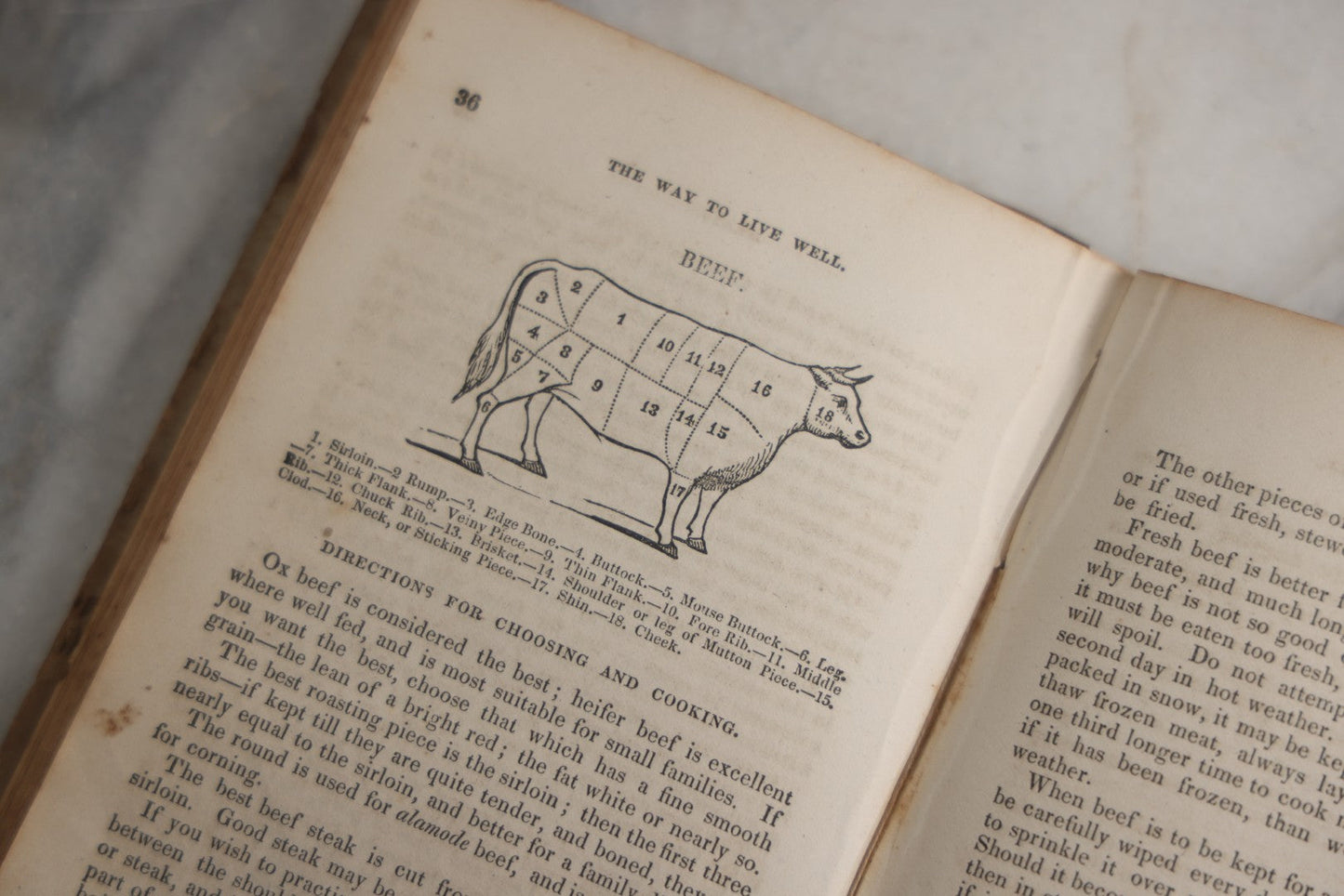 Lot 164 - "The Way To Live Well, And To Be Well While We Live, Containing Directions For Choosing And Preparing Food, In Regard To Health, Economy, And Taste" Antique Book By Mrs. S.J. Hale, Horace Wentworth, Publisher, Boston, 1851
