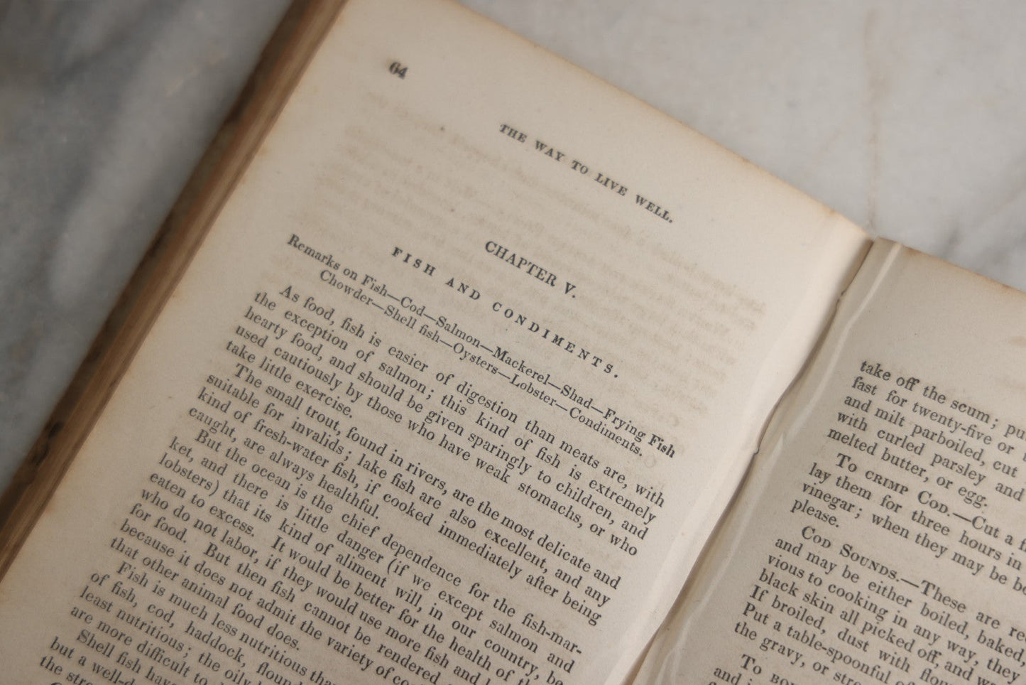 Lot 164 - "The Way To Live Well, And To Be Well While We Live, Containing Directions For Choosing And Preparing Food, In Regard To Health, Economy, And Taste" Antique Book By Mrs. S.J. Hale, Horace Wentworth, Publisher, Boston, 1851