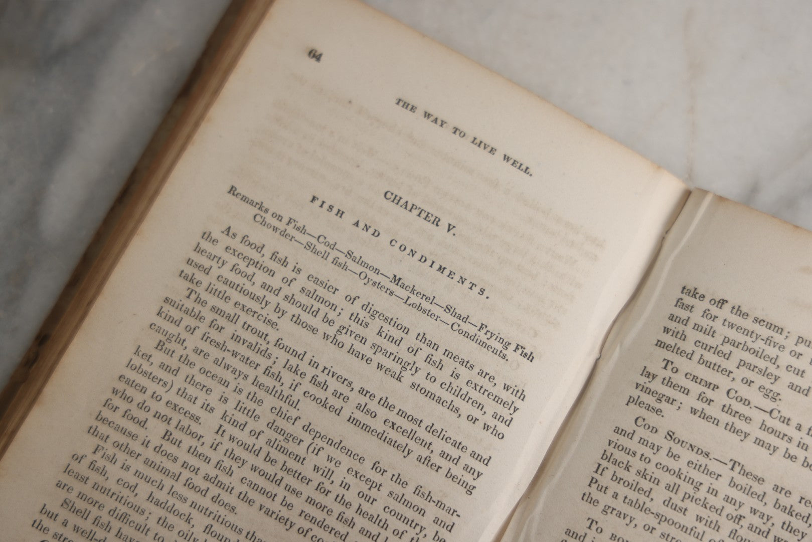 Lot 164 - "The Way To Live Well, And To Be Well While We Live, Containing Directions For Choosing And Preparing Food, In Regard To Health, Economy, And Taste" Antique Book By Mrs. S.J. Hale, Horace Wentworth, Publisher, Boston, 1851