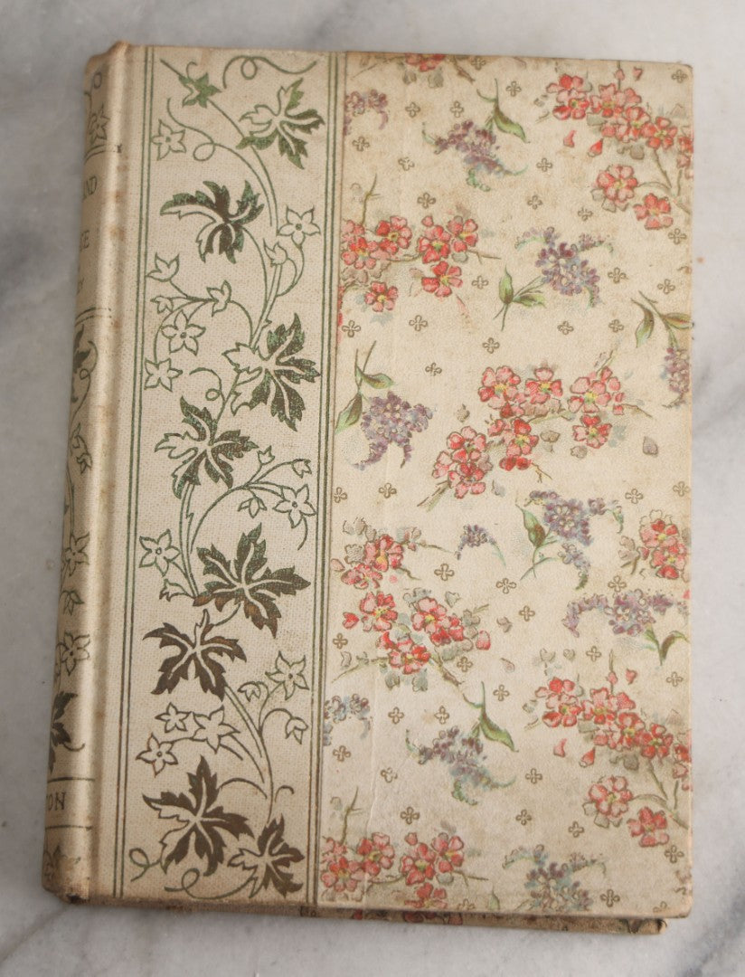 Lot 165 - "The Fairy-Land Of Science" Antique Book By Arabella B. Buckley, The Gold Series, Floral Patterned Cloth Boards With Gilt And Green Vine Design, Illustrated With Engravings, F.M. Lupton Publishing Company, New York, Circa 1895