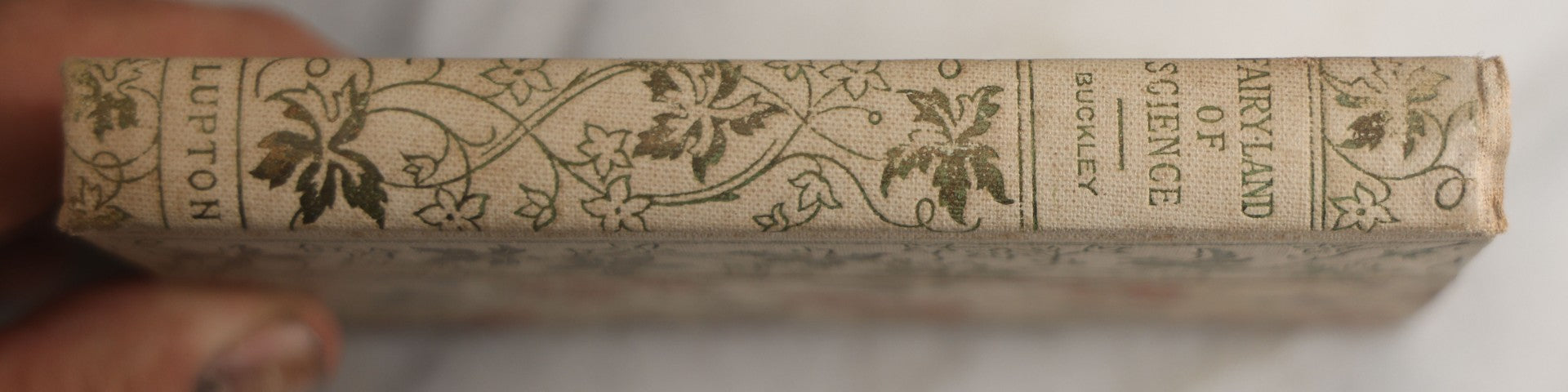 Lot 165 - "The Fairy-Land Of Science" Antique Book By Arabella B. Buckley, The Gold Series, Floral Patterned Cloth Boards With Gilt And Green Vine Design, Illustrated With Engravings, F.M. Lupton Publishing Company, New York, Circa 1895