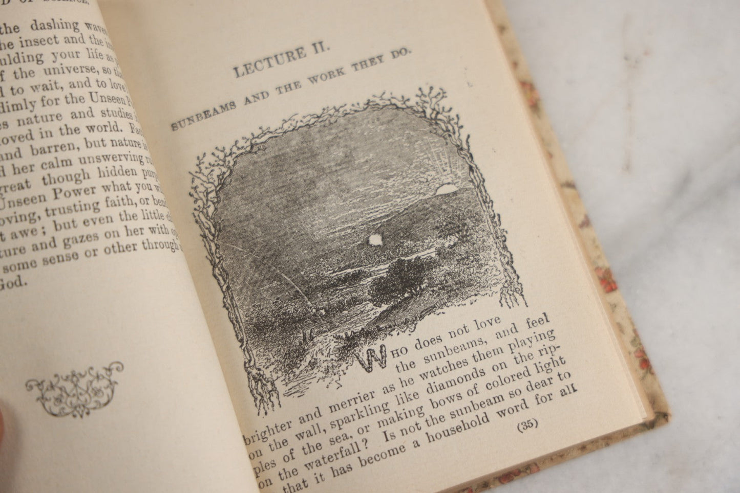 Lot 165 - "The Fairy-Land Of Science" Antique Book By Arabella B. Buckley, The Gold Series, Floral Patterned Cloth Boards With Gilt And Green Vine Design, Illustrated With Engravings, F.M. Lupton Publishing Company, New York, Circa 1895