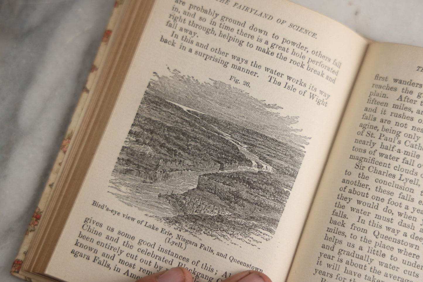 Lot 165 - "The Fairy-Land Of Science" Antique Book By Arabella B. Buckley, The Gold Series, Floral Patterned Cloth Boards With Gilt And Green Vine Design, Illustrated With Engravings, F.M. Lupton Publishing Company, New York, Circa 1895