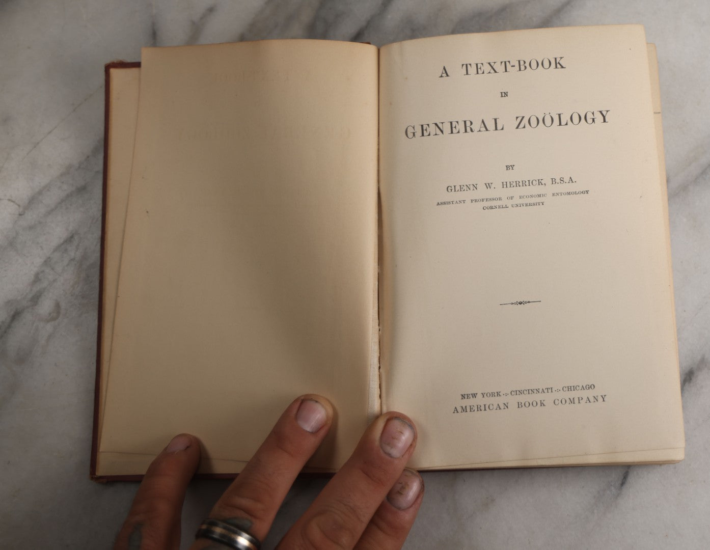 Lot 166 - "A Text-Book In General Zoölogy" Antique Science Book By Glenn W. Herrick, Illustrated With Diagrams And Photographs, Maroon Cloth Boards With Blind-Stamped Title, American Book Company, Publishers, New York, Cincinnati, And Chicago, 1907