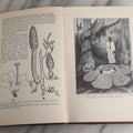 Lot 168 - "General Botany For Colleges" Vintage Botany Textbook By Ray Ethan Torrey, With 252 Illustrations, Maroon Cloth Boards With Gilt Spine Titles, The Century Biological Series, Appleton-Century-Crofts, Inc., Publishers, New York, 1932