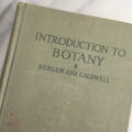 Lot 169 - "Introduction To Botany" Antique Botany Textbook By Joseph Y. Bergen And Otis W. Caldwell, Illustrated, Green Cloth Boards With Gilt Spine Titles, Ginn And Company, Publishers, Boston, New York, Chicago, London, 1914