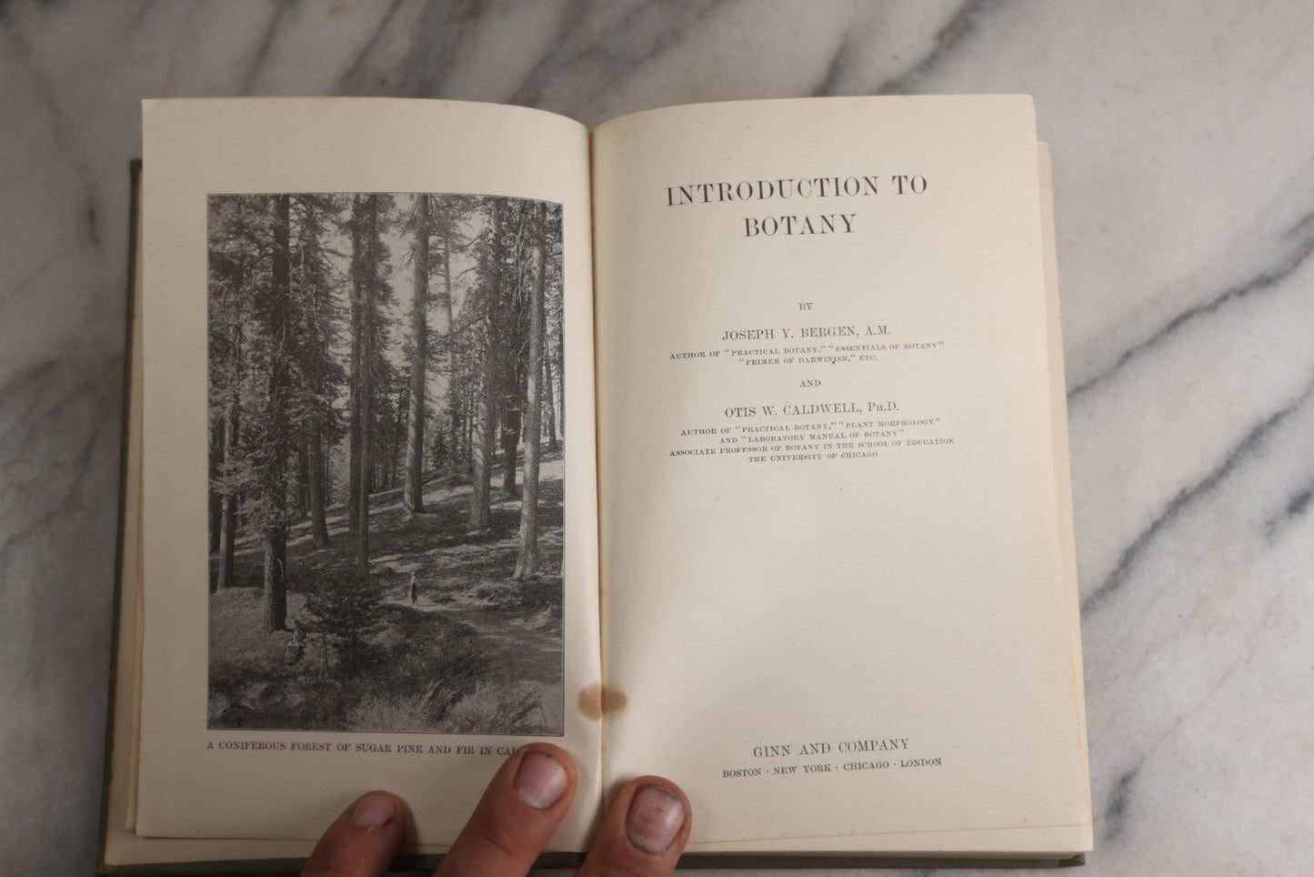 Lot 169 - "Introduction To Botany" Antique Botany Textbook By Joseph Y. Bergen And Otis W. Caldwell, Illustrated, Green Cloth Boards With Gilt Spine Titles, Ginn And Company, Publishers, Boston · New York · Chicago · London, 1914