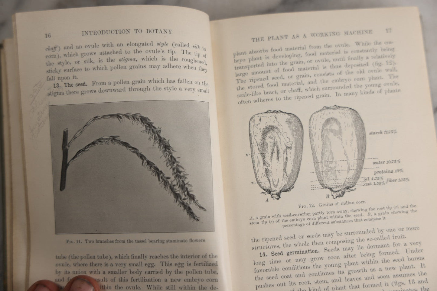 Lot 169 - "Introduction To Botany" Antique Botany Textbook By Joseph Y. Bergen And Otis W. Caldwell, Illustrated, Green Cloth Boards With Gilt Spine Titles, Ginn And Company, Publishers, Boston · New York · Chicago · London, 1914
