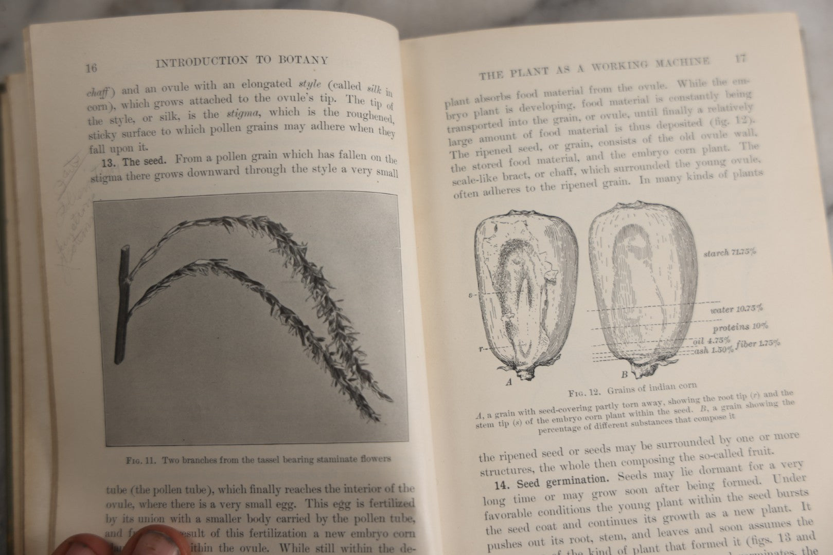Lot 169 - "Introduction To Botany" Antique Botany Textbook By Joseph Y. Bergen And Otis W. Caldwell, Illustrated, Green Cloth Boards With Gilt Spine Titles, Ginn And Company, Publishers, Boston · New York · Chicago · London, 1914