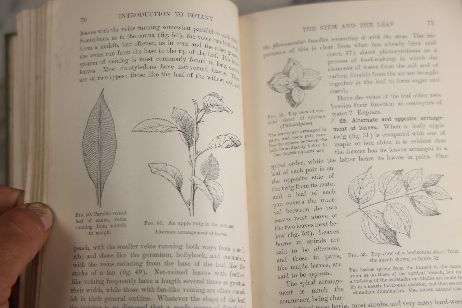 Lot 169 - "Introduction To Botany" Antique Botany Textbook By Joseph Y. Bergen And Otis W. Caldwell, Illustrated, Green Cloth Boards With Gilt Spine Titles, Ginn And Company, Publishers, Boston · New York · Chicago · London, 1914