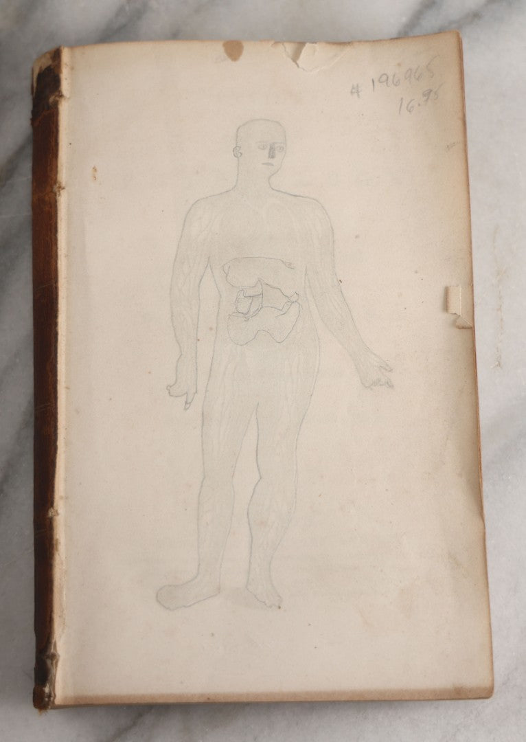 Lot 171 - "Anatomy And Physiology: Designed For Academies And Families" Antique Medical Book By Calvin Cutter, M.D., Sixth Stereotype Edition, Illustrated With Over 200 Engravings, Benjamin B. Mussey & Co., Publishers, Boston, 1847, Note Missing Covers
