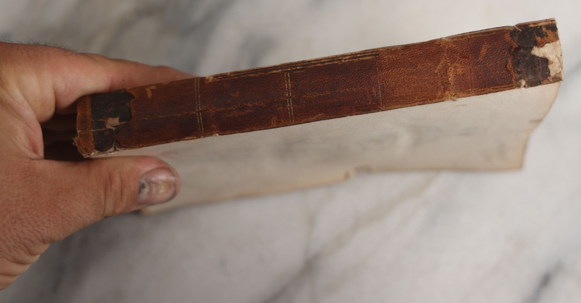 Lot 171 - "Anatomy And Physiology: Designed For Academies And Families" Antique Medical Book By Calvin Cutter, M.D., Sixth Stereotype Edition, Illustrated With Over 200 Engravings, Benjamin B. Mussey & Co., Publishers, Boston, 1847, Note Missing Covers