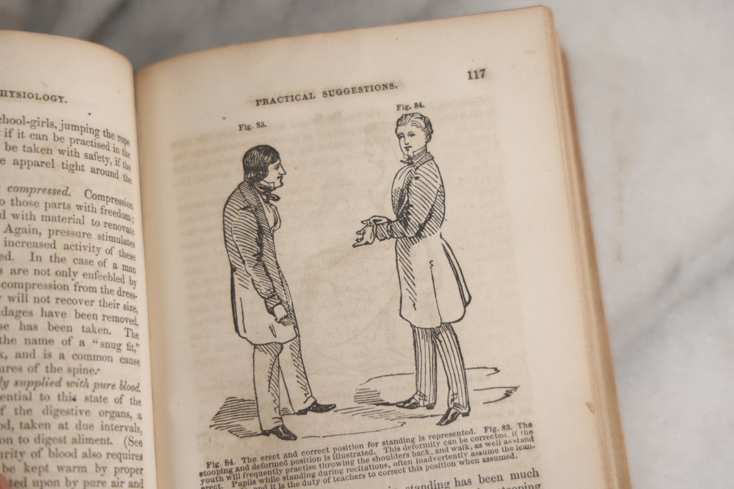 Lot 171 - "Anatomy And Physiology: Designed For Academies And Families" Antique Medical Book By Calvin Cutter, M.D., Sixth Stereotype Edition, Illustrated With Over 200 Engravings, Benjamin B. Mussey & Co., Publishers, Boston, 1847, Note Missing Covers