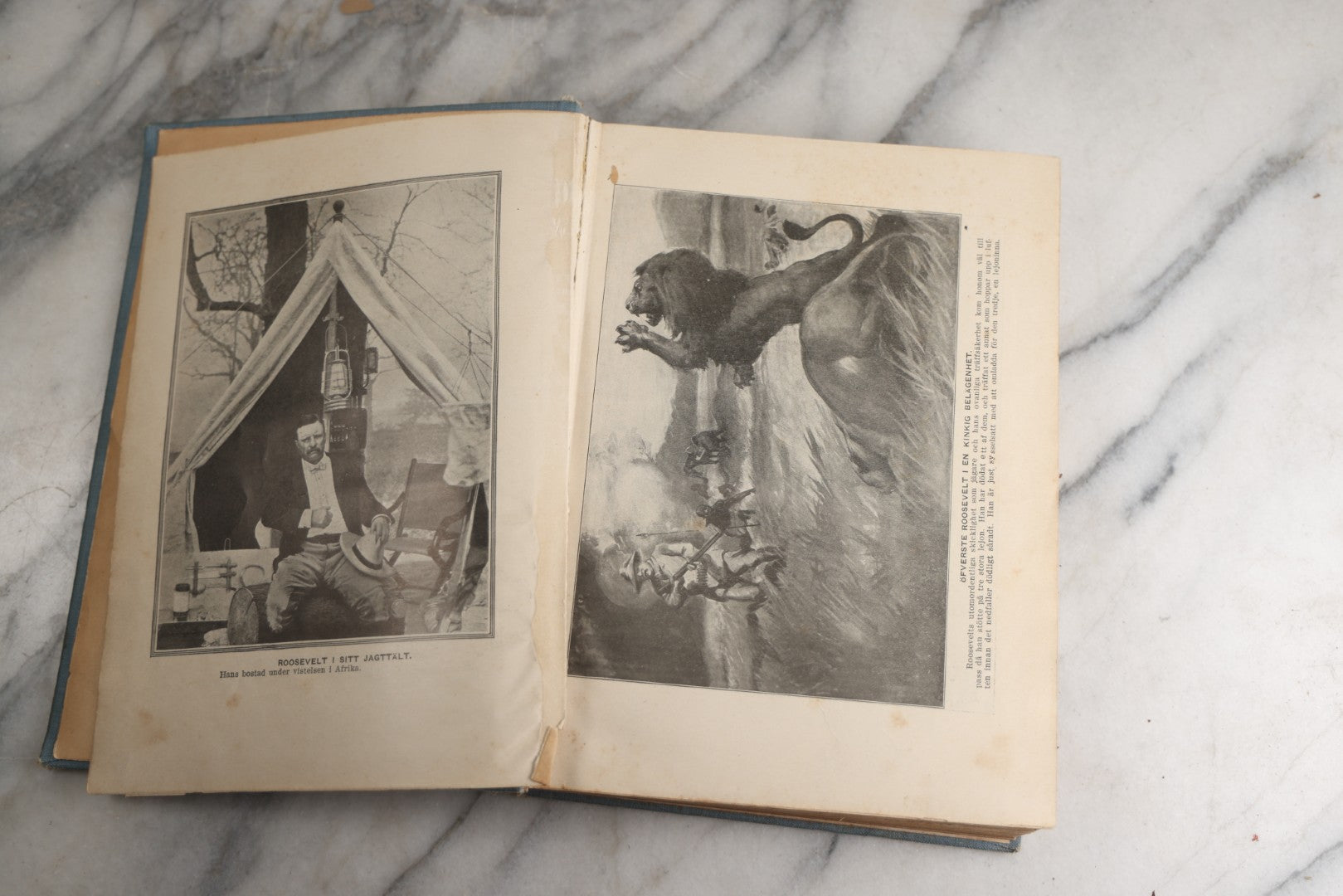 Lot 173 - "Roosevelt's Jagt-Äfventyr I Afrikas Vildmarken" (“Roosevelt’S Hunting Adventures In Africa’S Wilderness”) Antique Swedish Language Big Game Hunting & Exploration Book By Professor Axel Lundeberg, J.T. Moss, Publisher, 1909, Note Wear
