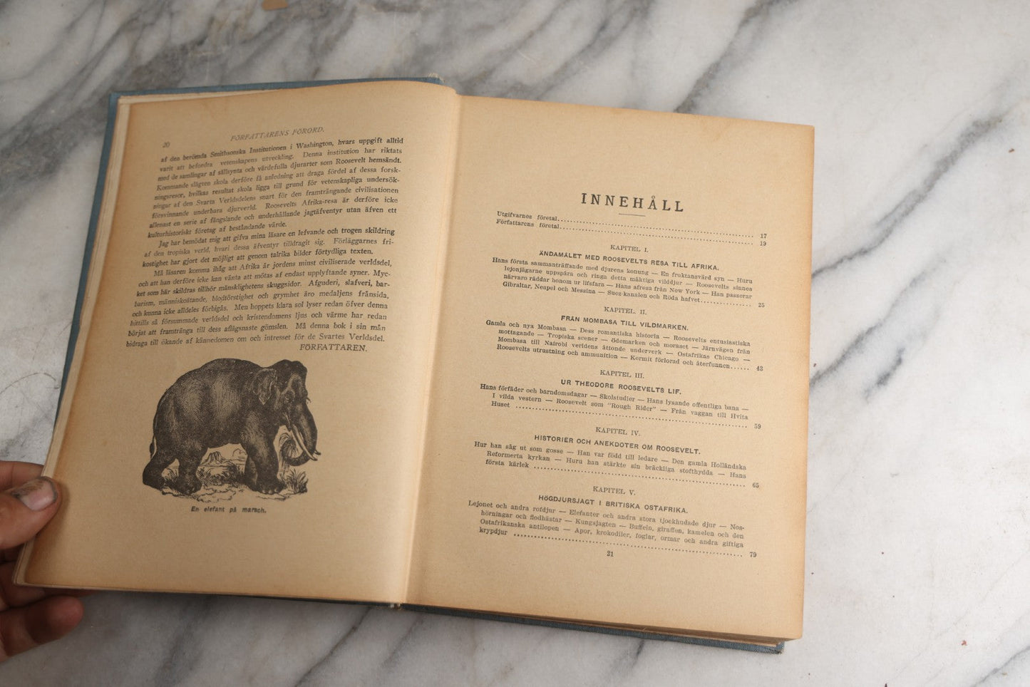 Lot 173 - "Roosevelt's Jagt-Äfventyr I Afrikas Vildmarken" (“Roosevelt’S Hunting Adventures In Africa’S Wilderness”) Antique Swedish Language Big Game Hunting & Exploration Book By Professor Axel Lundeberg, J.T. Moss, Publisher, 1909, Note Wear