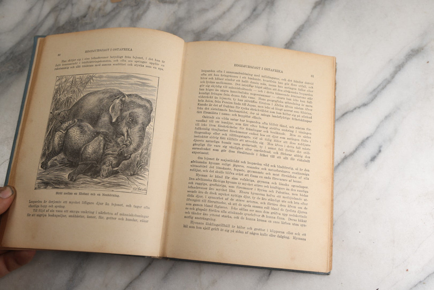 Lot 173 - "Roosevelt's Jagt-Äfventyr I Afrikas Vildmarken" (“Roosevelt’S Hunting Adventures In Africa’S Wilderness”) Antique Swedish Language Big Game Hunting & Exploration Book By Professor Axel Lundeberg, J.T. Moss, Publisher, 1909, Note Wear