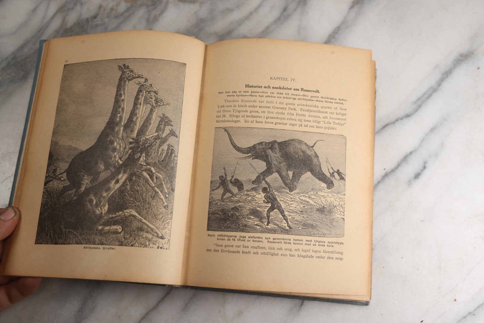 Lot 173 - "Roosevelt's Jagt-Äfventyr I Afrikas Vildmarken" (“Roosevelt’S Hunting Adventures In Africa’S Wilderness”) Antique Swedish Language Big Game Hunting & Exploration Book By Professor Axel Lundeberg, J.T. Moss, Publisher, 1909, Note Wear