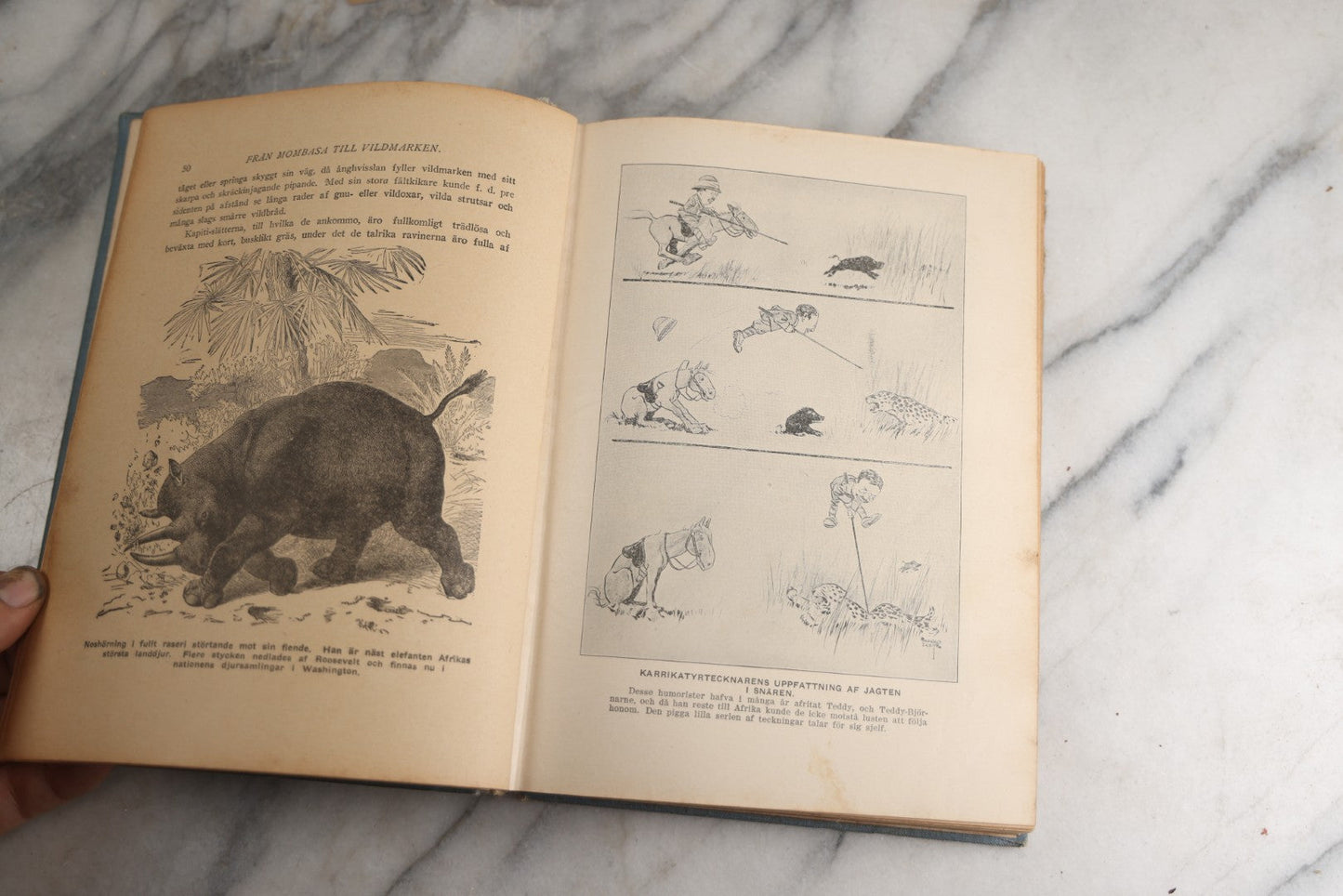 Lot 173 - "Roosevelt's Jagt-Äfventyr I Afrikas Vildmarken" (“Roosevelt’S Hunting Adventures In Africa’S Wilderness”) Antique Swedish Language Big Game Hunting & Exploration Book By Professor Axel Lundeberg, J.T. Moss, Publisher, 1909, Note Wear