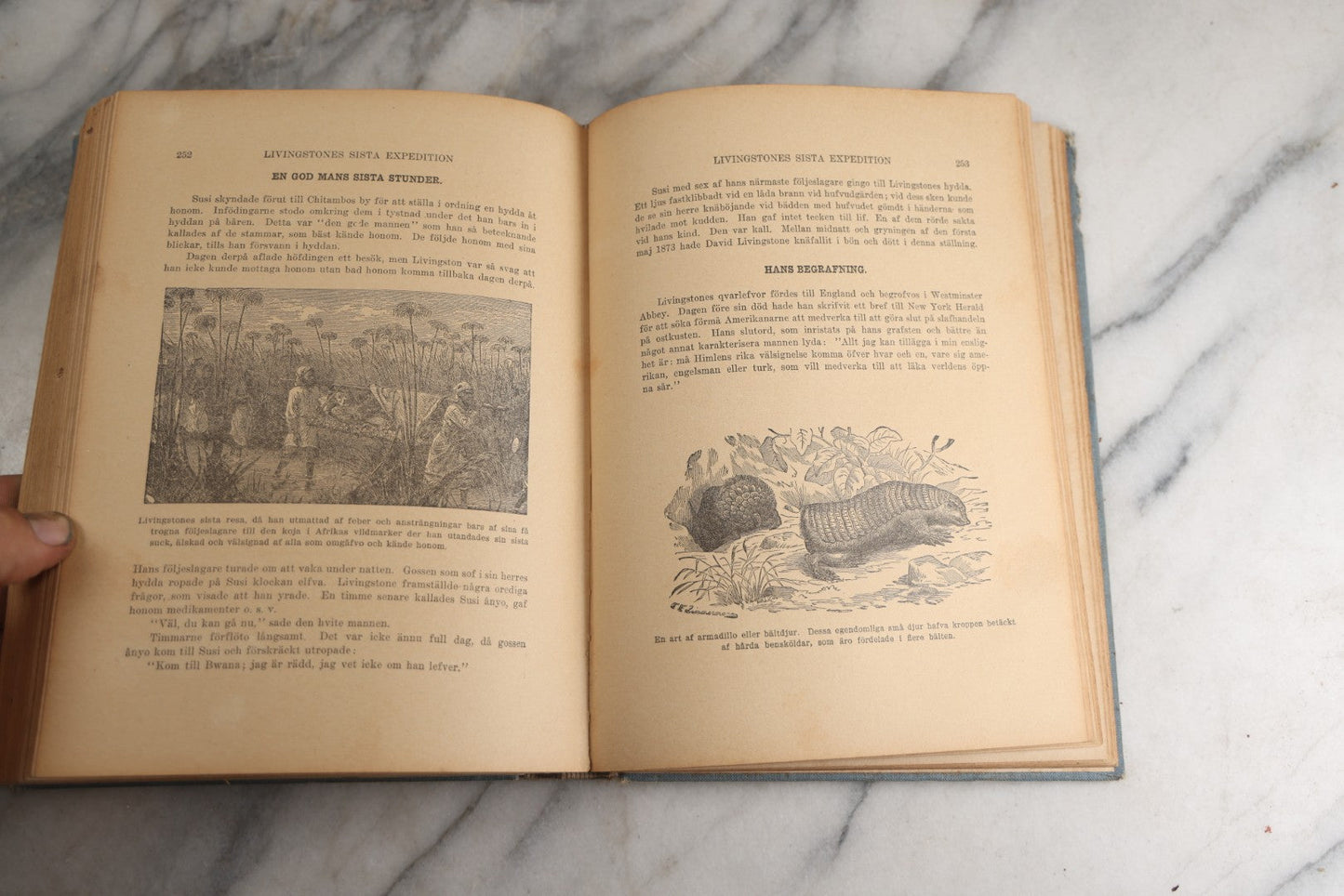 Lot 173 - "Roosevelt's Jagt-Äfventyr I Afrikas Vildmarken" (“Roosevelt’S Hunting Adventures In Africa’S Wilderness”) Antique Swedish Language Big Game Hunting & Exploration Book By Professor Axel Lundeberg, J.T. Moss, Publisher, 1909, Note Wear