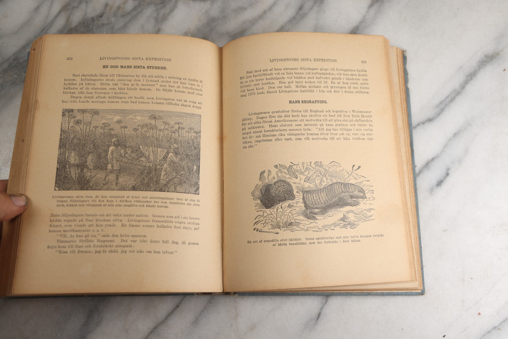 Lot 173 - "Roosevelt's Jagt-Äfventyr I Afrikas Vildmarken" (“Roosevelt’S Hunting Adventures In Africa’S Wilderness”) Antique Swedish Language Big Game Hunting & Exploration Book By Professor Axel Lundeberg, J.T. Moss, Publisher, 1909, Note Wear