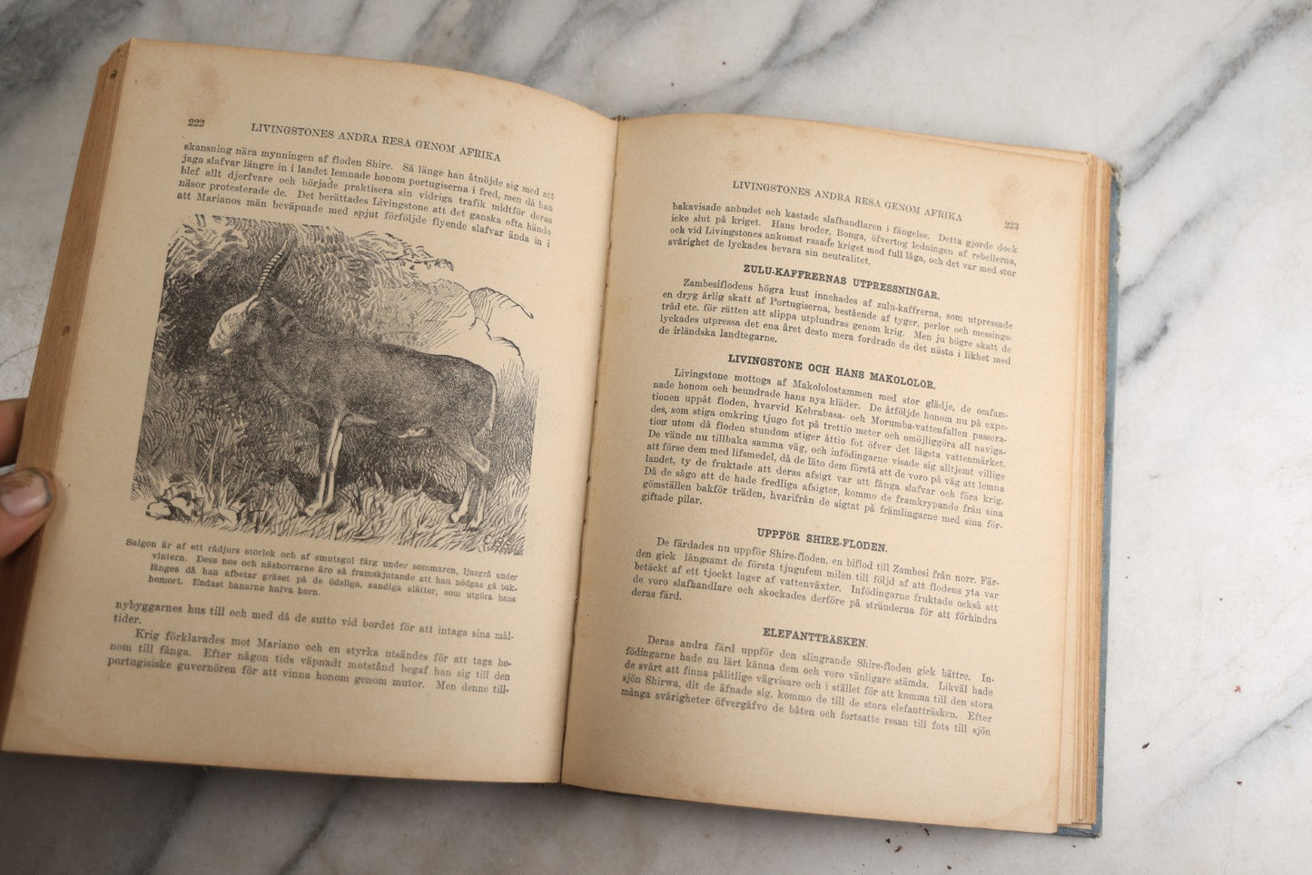 Lot 173 - "Roosevelt's Jagt-Äfventyr I Afrikas Vildmarken" (“Roosevelt’S Hunting Adventures In Africa’S Wilderness”) Antique Swedish Language Big Game Hunting & Exploration Book By Professor Axel Lundeberg, J.T. Moss, Publisher, 1909, Note Wear