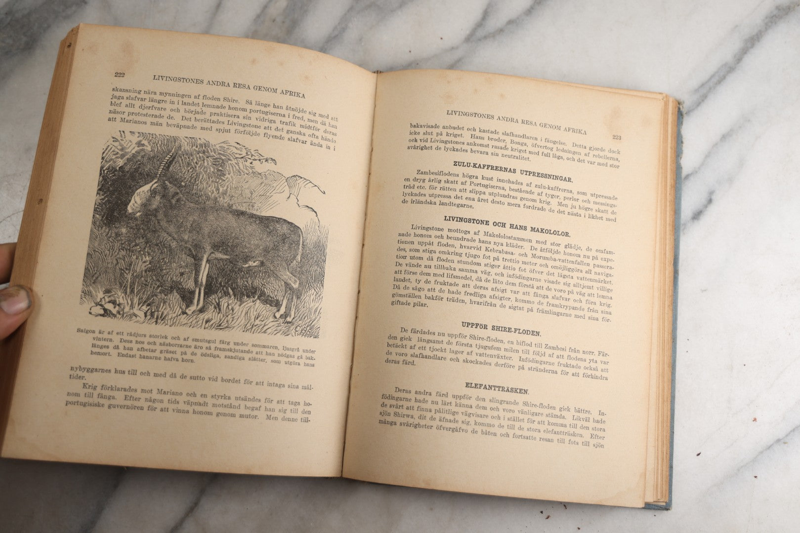Lot 173 - "Roosevelt's Jagt-Äfventyr I Afrikas Vildmarken" (“Roosevelt’S Hunting Adventures In Africa’S Wilderness”) Antique Swedish Language Big Game Hunting & Exploration Book By Professor Axel Lundeberg, J.T. Moss, Publisher, 1909, Note Wear