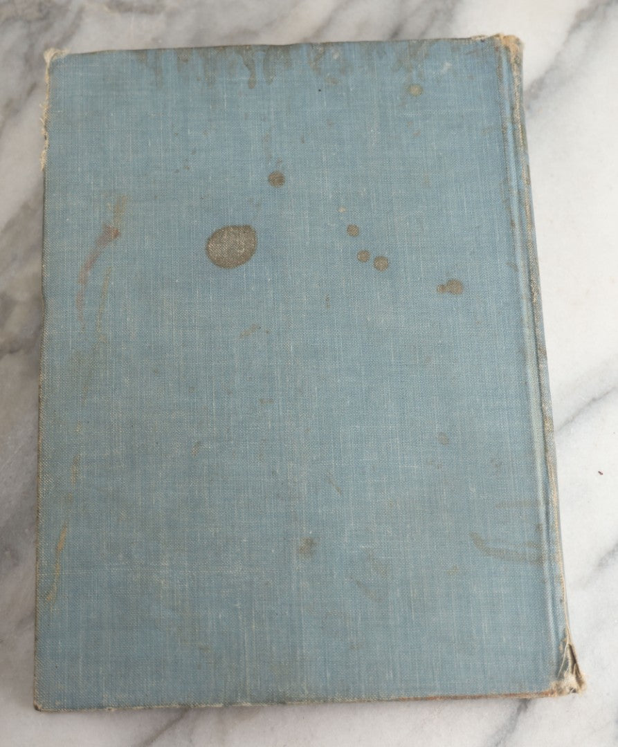 Lot 173 - "Roosevelt's Jagt-Äfventyr I Afrikas Vildmarken" (“Roosevelt’S Hunting Adventures In Africa’S Wilderness”) Antique Swedish Language Big Game Hunting & Exploration Book By Professor Axel Lundeberg, J.T. Moss, Publisher, 1909, Note Wear