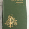 Lot 179 - "Trees Of Worcester" Antique Local Botanical Reference Book By Arabella H. Tucker, With Photographs By Juliet Porter, Gilt-Stamped Green Cloth Boards With Decorative Tree Motif, Putnam, Davis & Co., Publishers, Worcester, Massachusetts, 1894