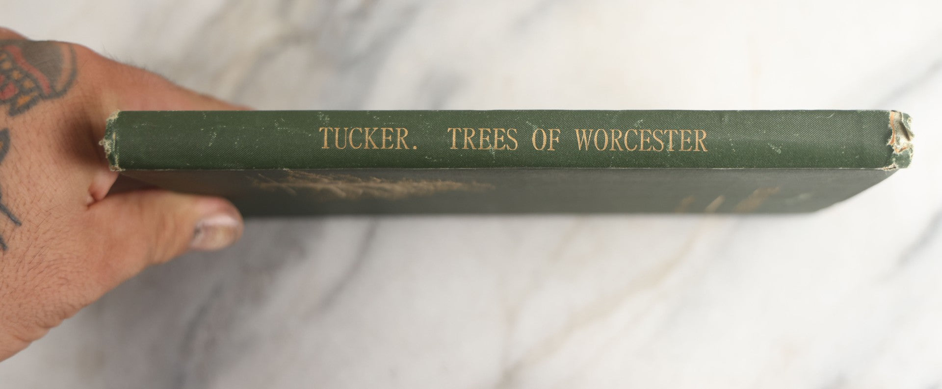 Lot 179 - "Trees Of Worcester" Antique Local Botanical Reference Book By Arabella H. Tucker, With Photographs By Juliet Porter, Gilt-Stamped Green Cloth Boards With Decorative Tree Motif, Putnam, Davis & Co., Publishers, Worcester, Massachusetts, 1894