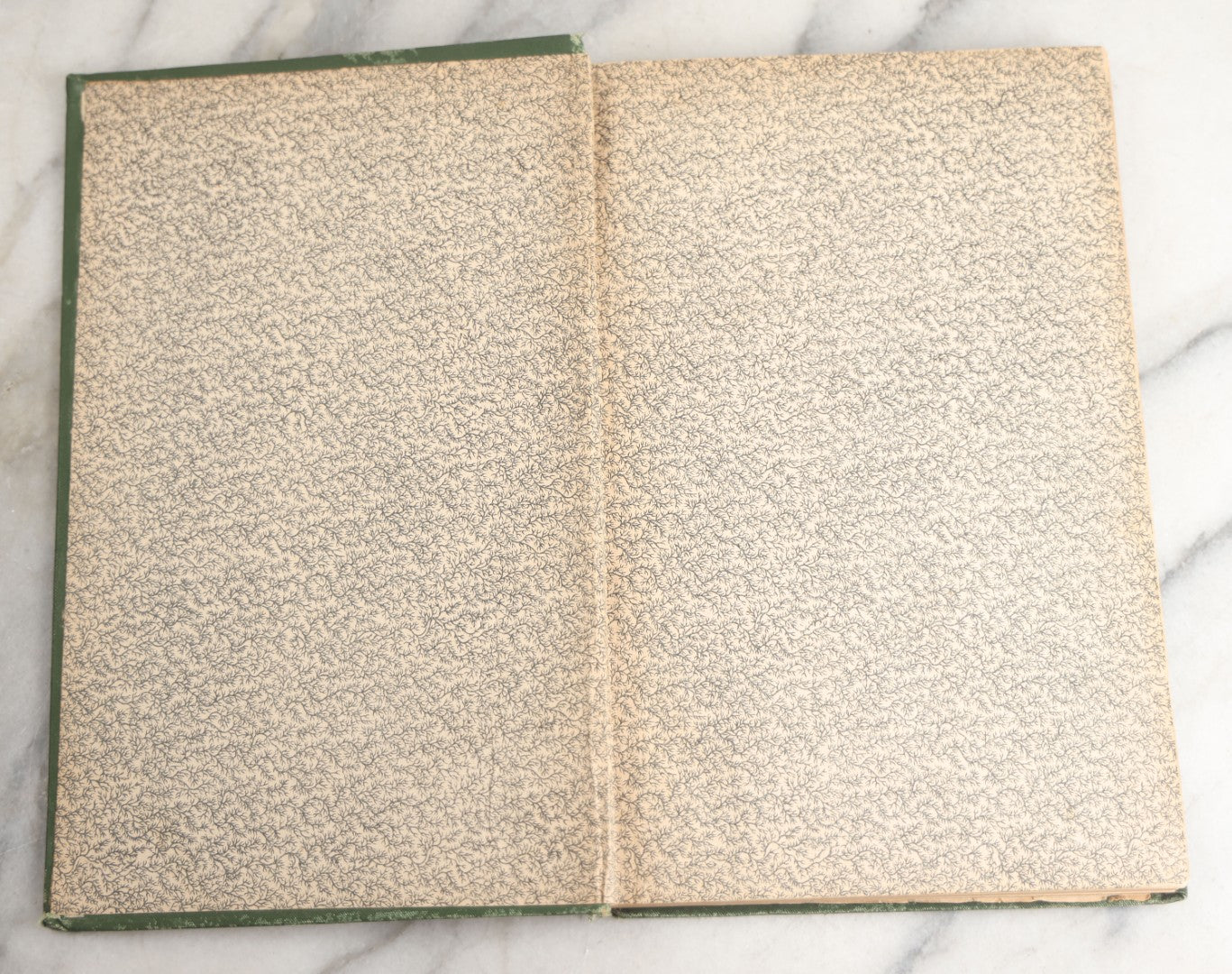 Lot 179 - "Trees Of Worcester" Antique Local Botanical Reference Book By Arabella H. Tucker, With Photographs By Juliet Porter, Gilt-Stamped Green Cloth Boards With Decorative Tree Motif, Putnam, Davis & Co., Publishers, Worcester, Massachusetts, 1894