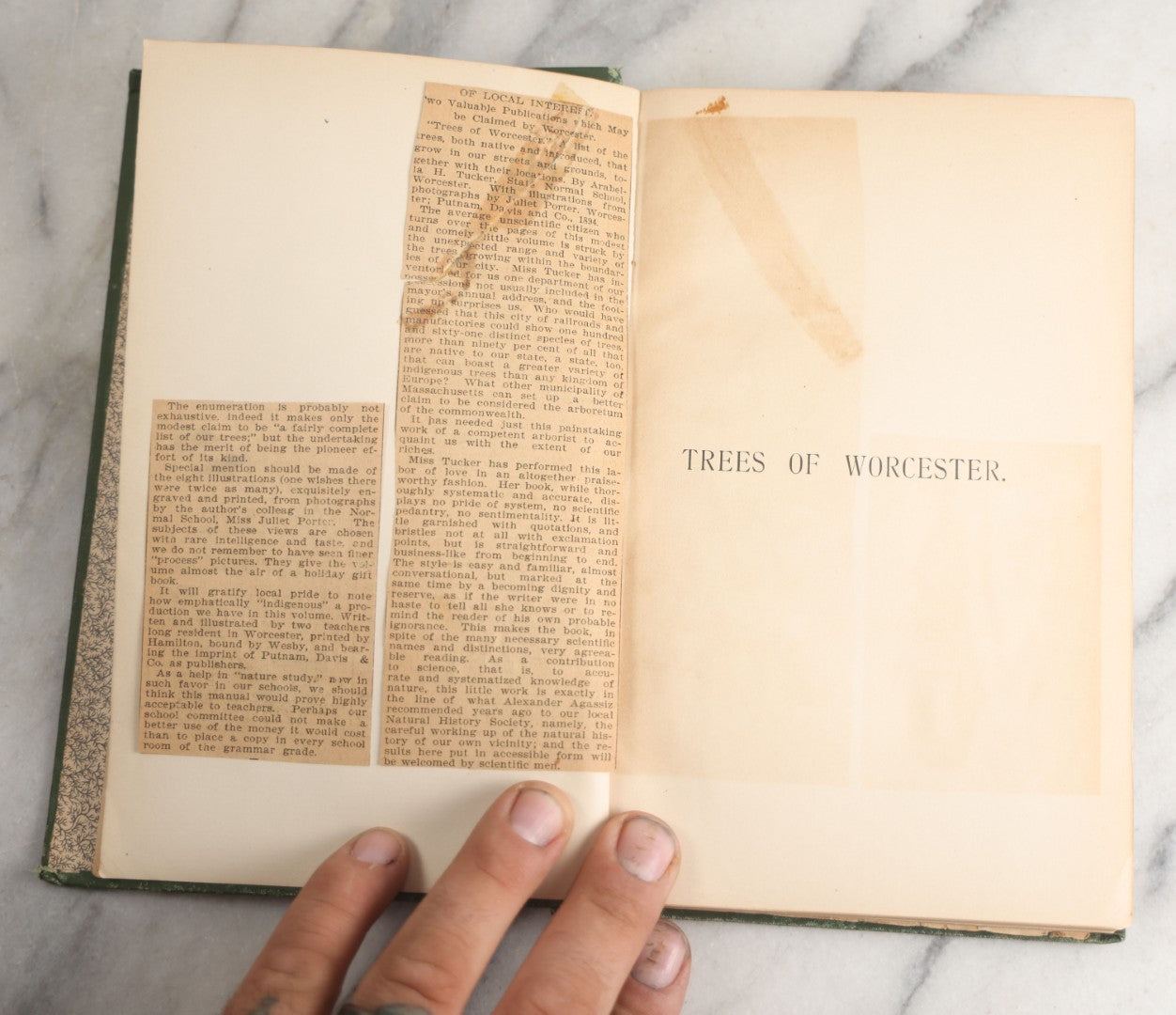 Lot 179 - "Trees Of Worcester" Antique Local Botanical Reference Book By Arabella H. Tucker, With Photographs By Juliet Porter, Gilt-Stamped Green Cloth Boards With Decorative Tree Motif, Putnam, Davis & Co., Publishers, Worcester, Massachusetts, 1894