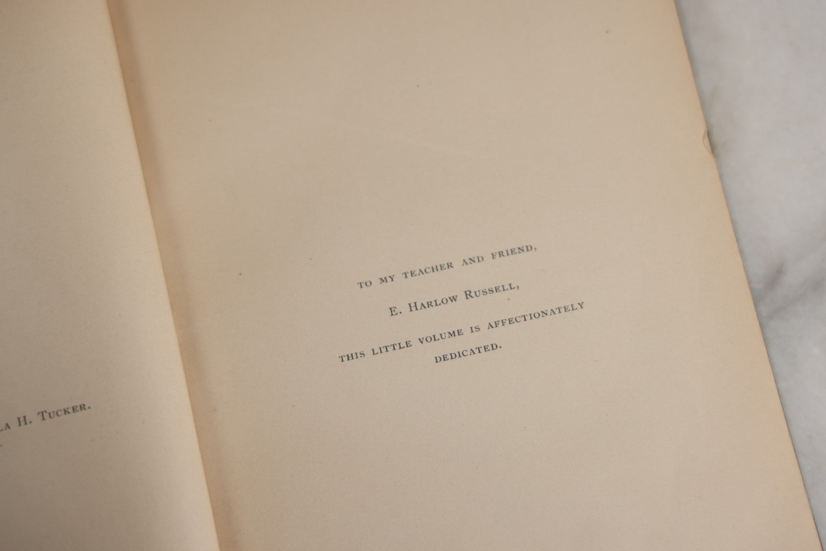 Lot 179 - "Trees Of Worcester" Antique Local Botanical Reference Book By Arabella H. Tucker, With Photographs By Juliet Porter, Gilt-Stamped Green Cloth Boards With Decorative Tree Motif, Putnam, Davis & Co., Publishers, Worcester, Massachusetts, 1894