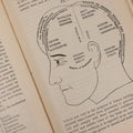 Lot 051 - "The People's Common Sense Medical Adviser In Plain English, Or, Medicine Simplified" Antique Illustrated Medical Book By R.V. Pierce, M.D., Seventy-First Edition, Buffalo, New York, 1895