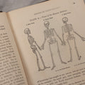 Lot 053 - "Dr. Fitch's Lectures On Consumption: Six Lectures On The Functions Of The Lungs" Antique Medical Book By Samuel Sheldon Fitch, A.M., M.D., With 30 Illustrations, Published By S.S. Fitch & Co., New York, 1959
