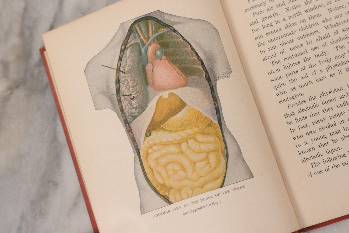 Lot 057 - "Physiology And Hygiene" For Children, Antique Book By Robert Eadie And Andrew Eadie, M.D., Published By Charles Scribner's Sons, New York, 1909