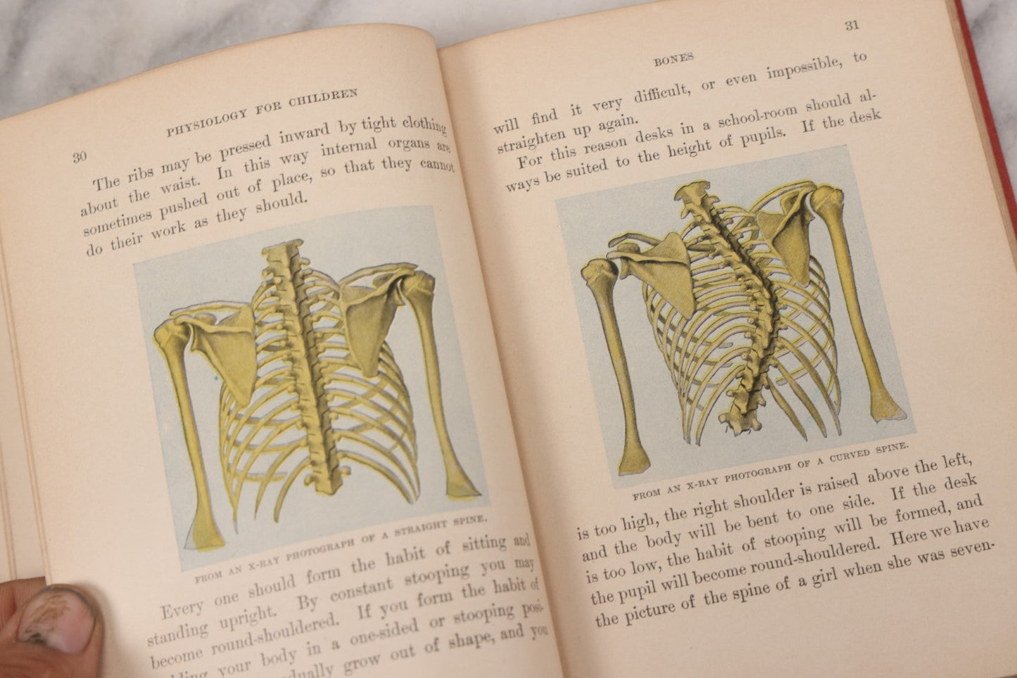 Lot 057 - "Physiology And Hygiene" For Children, Antique Book By Robert Eadie And Andrew Eadie, M.D., Published By Charles Scribner's Sons, New York, 1909